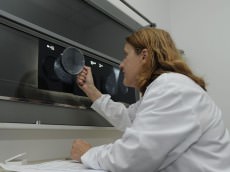 une radiologue munie d'une loupe pratique une deuxième lecture d'une échographie d'un sein
