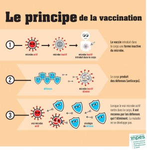 Inpes-infographie-principe-vaccination, semaine européenne de la vaccination