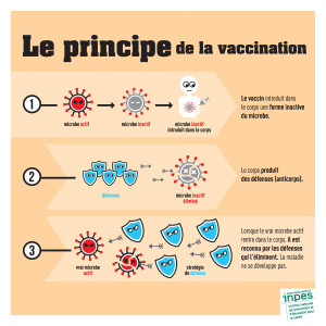 principe de la vaccination