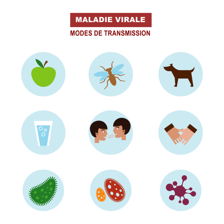 Prévenir L’hépatite B Et éviter La Contamination | Santé Pratique Paris