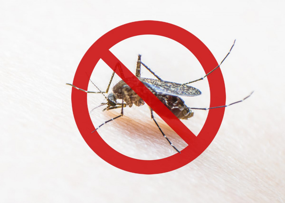 Paludisme : comprendre et prévenir la maladie